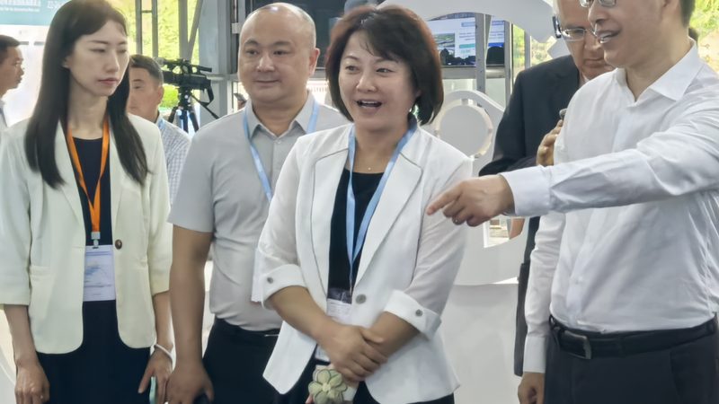 刹车蹄片代理加盟，先看清这五个门槛